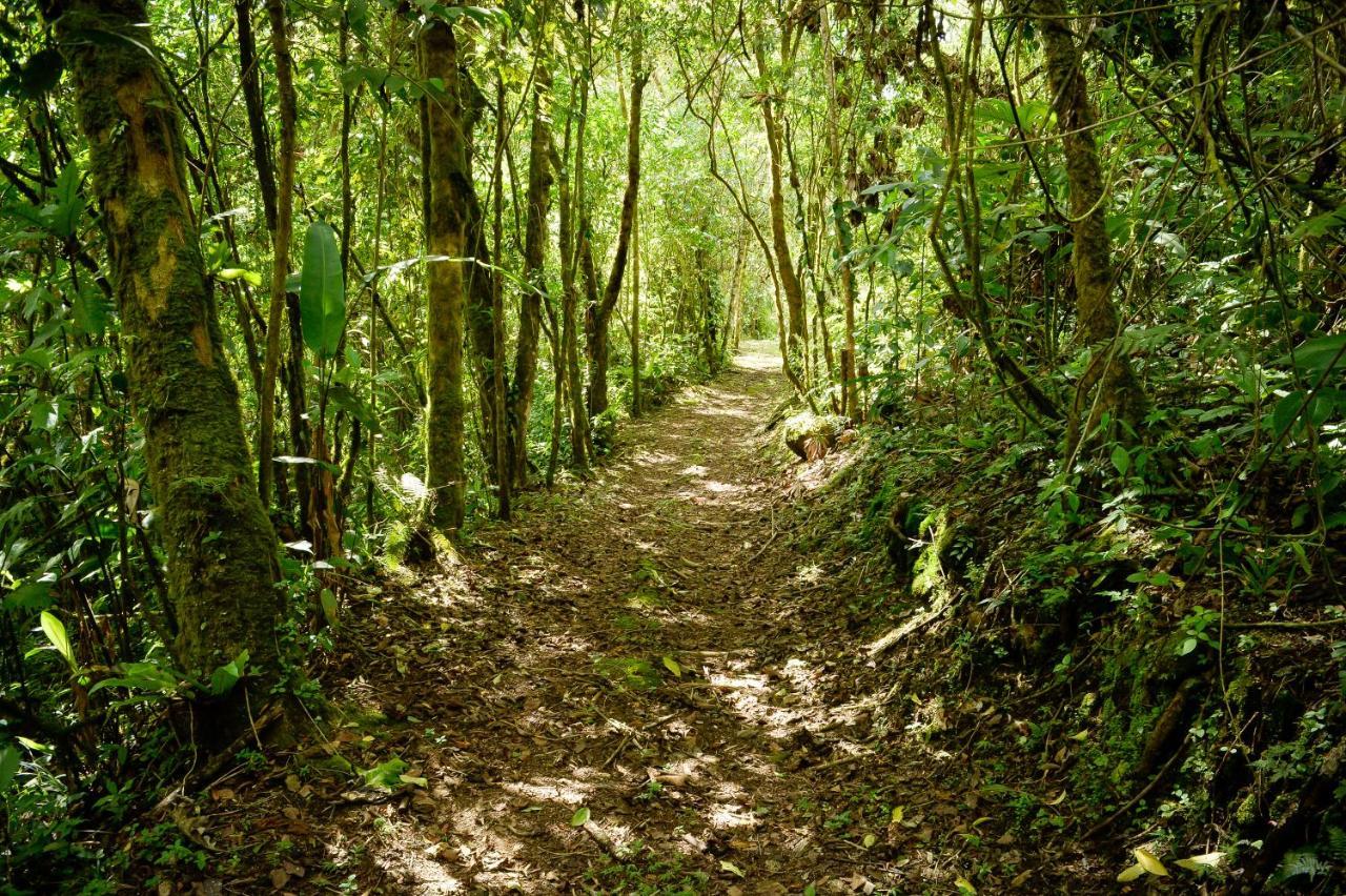 Talamanca Nature Reserve Rivas Exterior photo