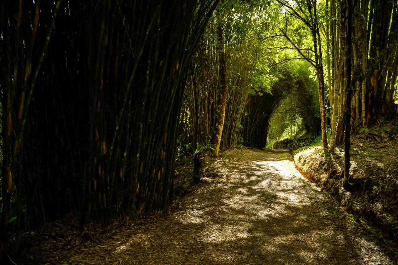 Talamanca Nature Reserve Rivas Exterior photo