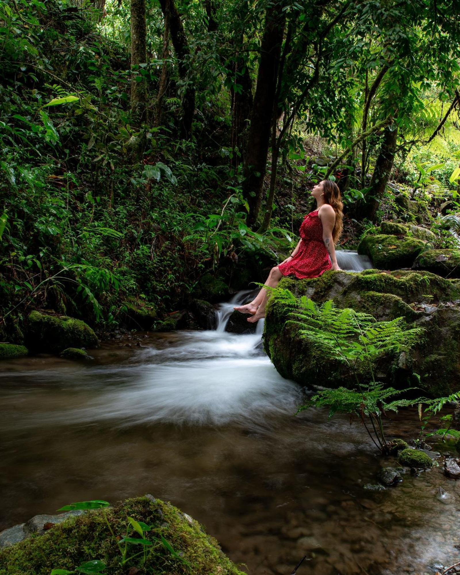 Talamanca Nature Reserve Rivas Exterior photo