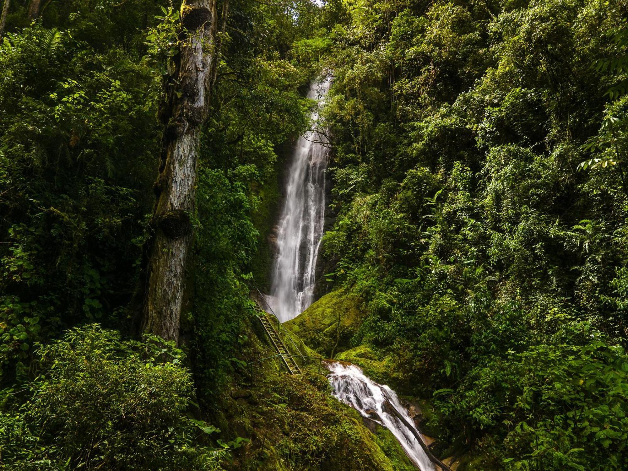 Talamanca Nature Reserve Rivas Exterior photo