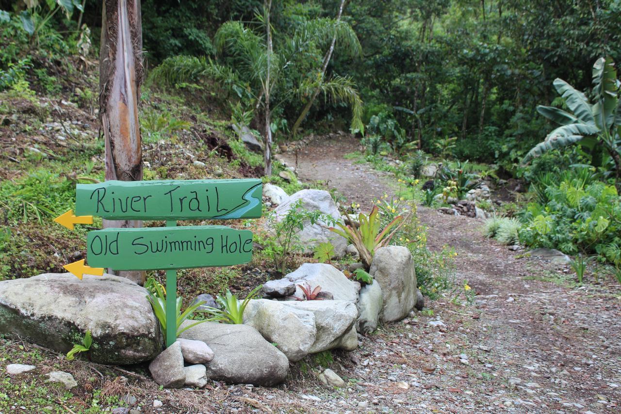 Talamanca Nature Reserve Rivas Exterior photo