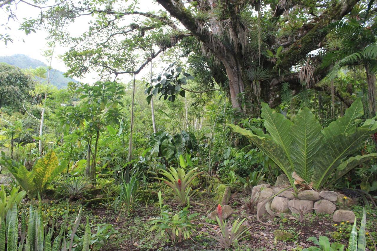 Talamanca Nature Reserve Rivas Exterior photo