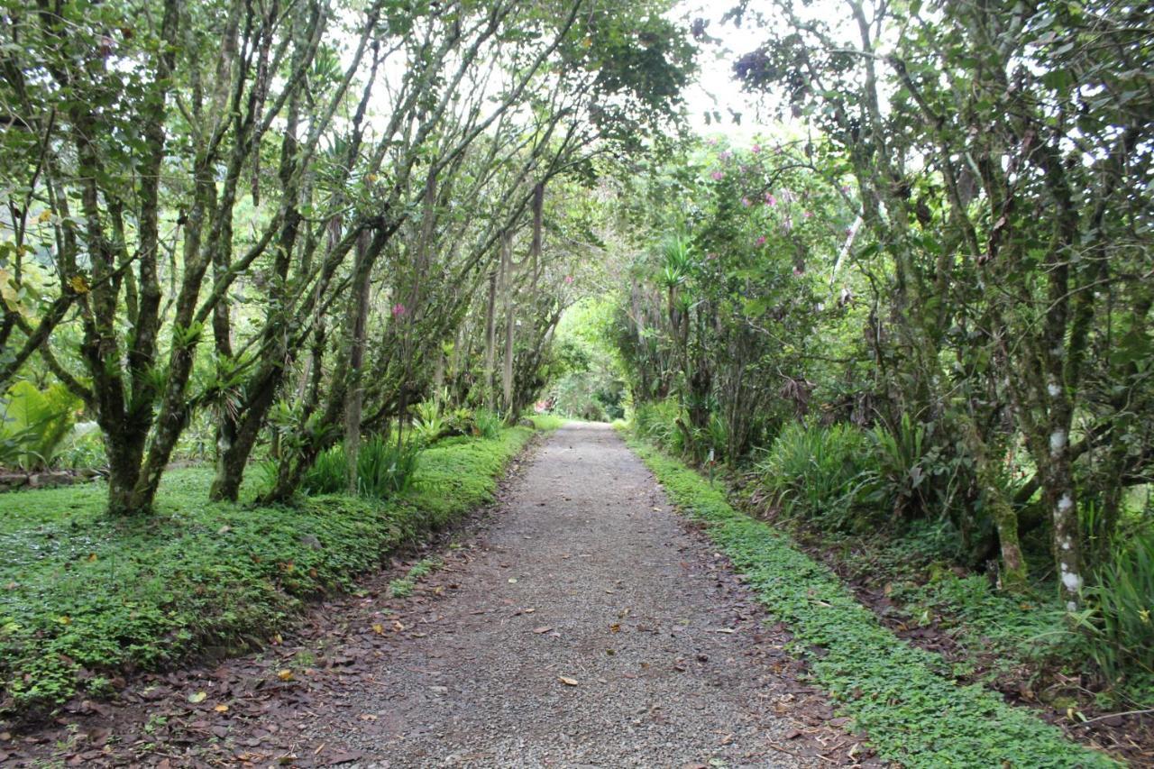 Talamanca Nature Reserve Rivas Exterior photo
